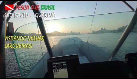 RICHOTE - PESCA SUB - GUARUJ&Aacute; - VISITANDO VELHAS SARGUEIRAS!