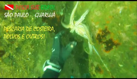 PESCA SUB - PESCARIA DE COSTEIRA, POLVOS E OUTROS!
