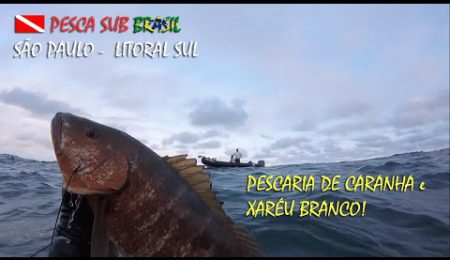 PESCA SUB - PESCARIA DE CARANHA E XAR&Eacute;U BRANCO!