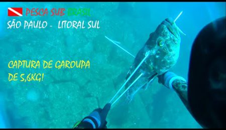 PESCA SUB - CAPTURA DE GAROUPA 5,6 KG.