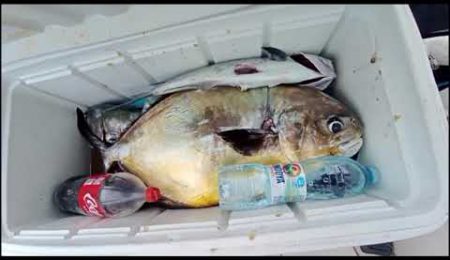 RICHOTE - PESCA SUBMARINA - DOM PEDRO / SP