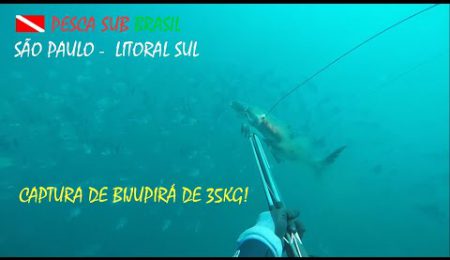 PESCA SUB - CAPTURA DE BIJUPIR&Aacute; DE 35KG!