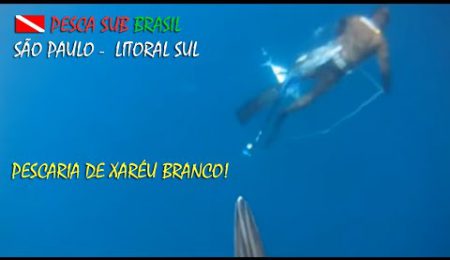 PESCA SUB - PESCARIA DE XAR&Eacute;U BRANCO!