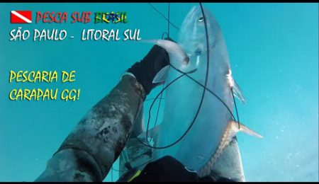 PESCA SUB - PESCARIA DE CARAPAU GG!