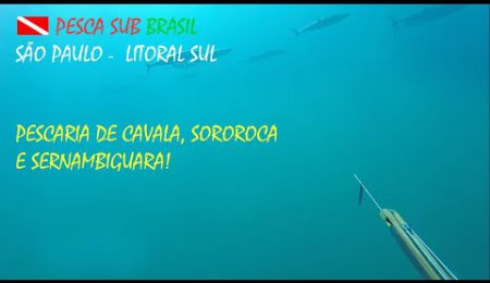 PESCA SUB - PESCARIA DE CAVALA, SOROROCA E SERNAMBIGUARA!