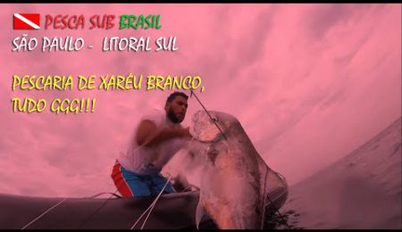 PESCA SUB - PESCARIA DE XAR&Eacute;U BRANCO GGG!!!