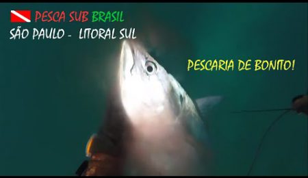 PESCA SUB - PESCARIA DE BONITO NO ATRATOR!