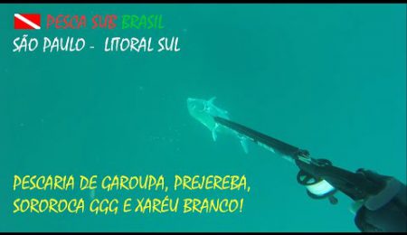 PESCA SUB - PESCARIA DE GAROUPA, PREJEREBA, SOROROCA GG E XAR&Eacute;U BRANCO!