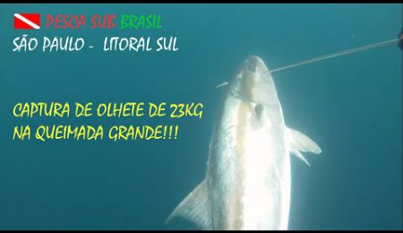 PESCA SUB - CAPTURA DE OLHETE DE 23KG NA QUEIMADA GRANDE!