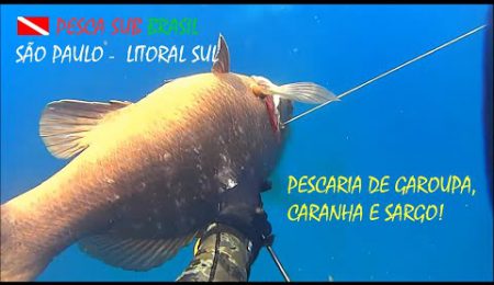 PESCA SUB - PESCARIA DE GAROUPA, CARANHA E SARGO!