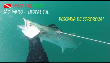 PESCA SUB - PESCARIA DE SOROROCA!