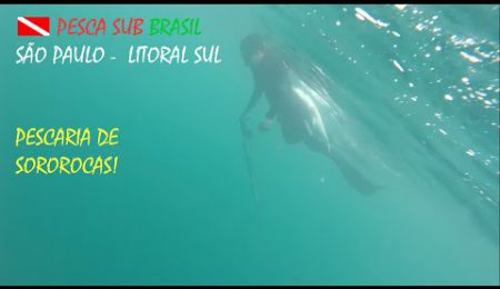 PESCA SUB - PESCARIA DE SOROROCA!