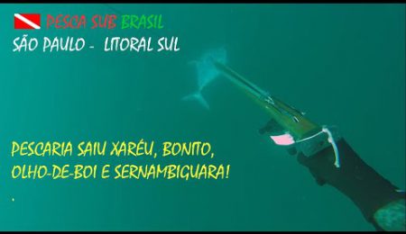 PESCA SUB - PESCARIA DE XAR&Eacute;U, BONITO, OLHO-DE-BOI E SERNAMBIGUARA!