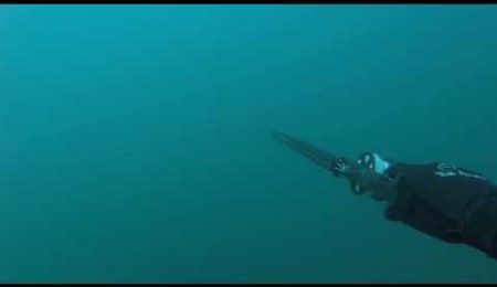 PESCA SUB - LAJE DA CONCEI&Ccedil;&Atilde;O - SOROROCAS