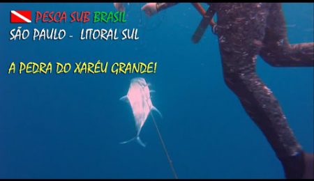 PESCA SUB - A PEDRA DO XAR&Eacute;U GRANDE!