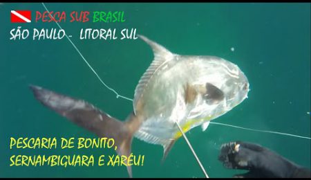 PESCA SUB - PESCARIA DE BONITO, SERNAMBIGUARA E XAR&Eacute;U BRANCO!