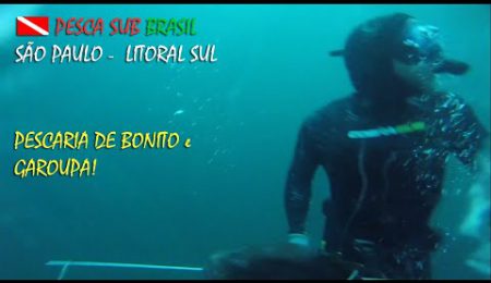 PESCA SUB - PESCARIA DE BONITO E GAROUPA!