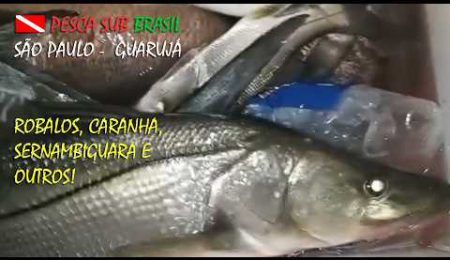 RICHOTE - PESCA SUBMARINA - GUARUJ&Aacute; / SP