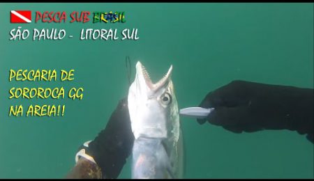 PESCA SUB - PESCARIA DE SOROROCA GG NA AREIA!