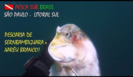 PESCA SUB - PESCARIA DE SERNAMBIGUARA E XAR&Eacute;U BRANCO!