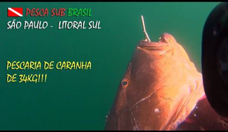 PESCA SUB - PESCARIA DE CARANHA DE 34KG!!!