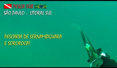 RICHOTE - PESCA SUB - LITORAL SUL DE S&Atilde;O PAULO - SERNAMBIGUARA E SOROROCA