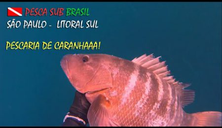 PESCA SUB - PESCARIA DE CARANHAAAA!