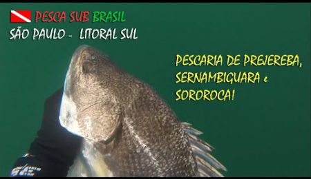 PESCA SUB - PESCARIA DE PREJEREBA, SERNAMBIGUARA E SOROROCA!