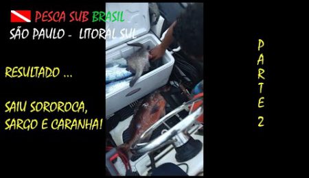 PESCA SUB - PESCARIA DE SOROROCA, SARGO E CARANHA - PARTE 2.