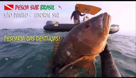 PESCA SUB - PESCARIA DAS DENTU&Ccedil;AS!