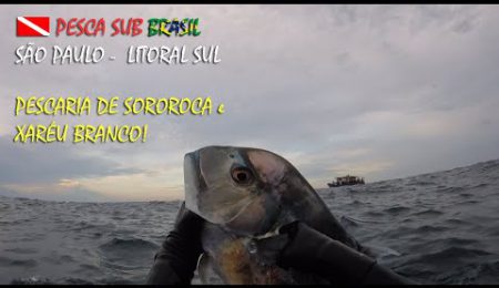 PESCA SUB - PESCARIA DE SOROROCA E XAR&Eacute;U BRANCO!
