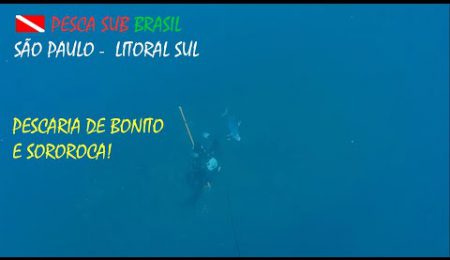 PESCA SUB - PESCARIA SOROROCA E BONITOS NO ATRATOR!