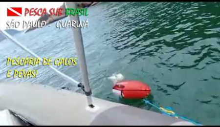 RICHOTE - PESCA SUBMARINA - GUARUJ&Aacute; / SP