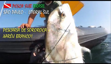 PESCA SUB - PESCARIA DE SOROROCA E XAR&Eacute;U BRANCO!