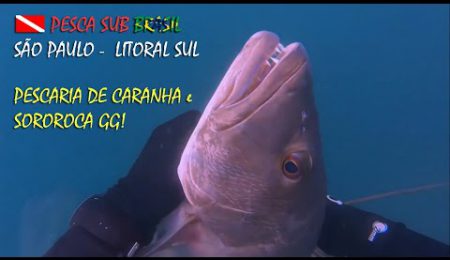 PESCA SUB - PESCARIA DE CARANHA E SOROROCA GG!