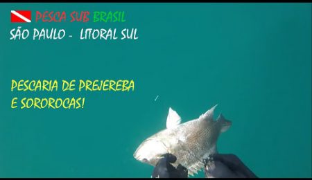 PESCA SUB - PESCARIA DE PREJEREBA E SOROROCAS!