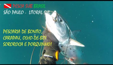 PESCA SUB - PESCARIA DE BONITO, CARAPAU, OLHO-DE-BOI, SOROROCA E PORQUINHO!