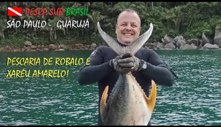 RICHOTE - PESCA SUB - GUARUJ&Aacute; - XAR&Eacute;U AMARELO GG E ROBALOS!