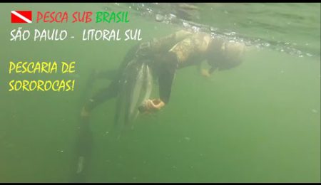 PESCA SUB - PESCARIA DE SOROROCAS!