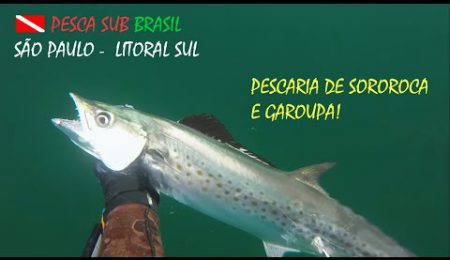 PESCA SUB - PESCARIA DE SOROROCA E GAROUPA!
