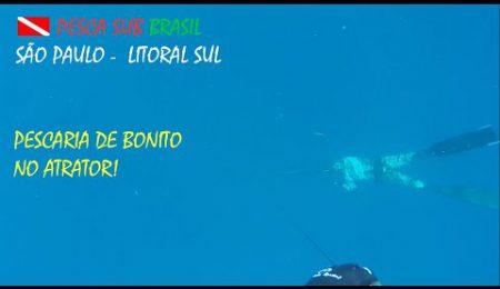PESCA SUB - PESCARIA DE BONITO NO ATRATOR!