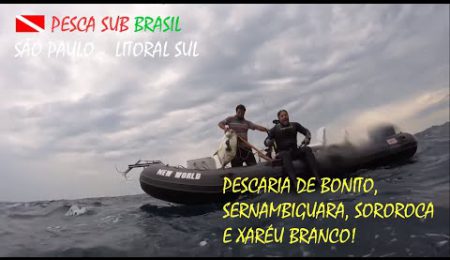 PESCA SUB - PESCARIA DE BONITO, SERNAMBIGUARA, SOROROCA E XAR&Eacute;U BRANCO!