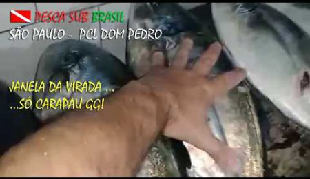 RICHOTE - PESCA SUBMARINA - 25/04/2026 - PARCEL DOM PEDRO/SP